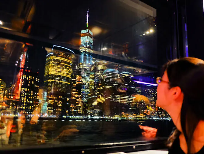 Crucero con cena bufé en Nueva York - Vistas
