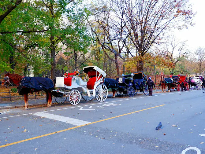 Paseo en coche de caballos por Central Park - Calesa