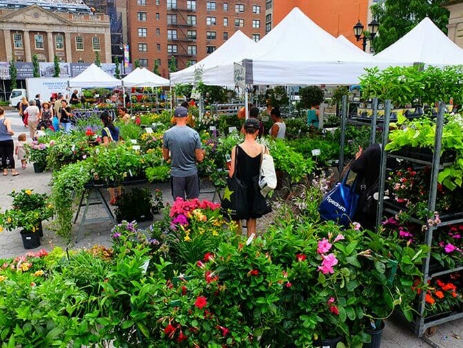 Mercados en Nueva York