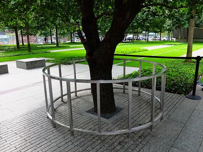 Monumento conmemorativo a las víctimas del 11-S en Nueva York - Survivor Tree