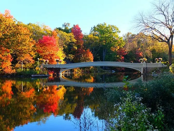Central Park Movie Sites Walking Tour