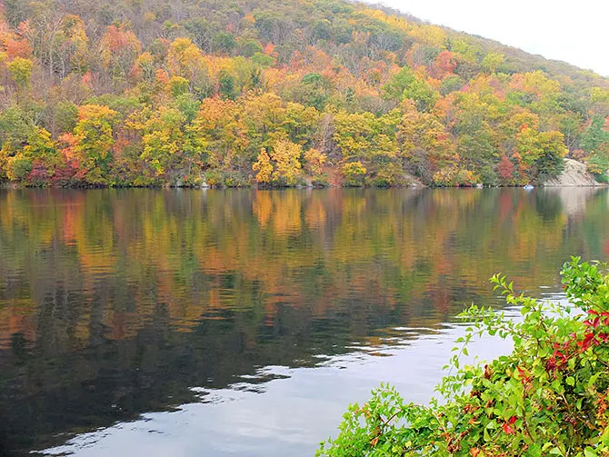 Excursión a Bear Mountain desde Nueva York - Colores otoñales