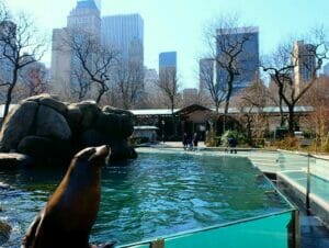 Tickets para el Central Park Zoo