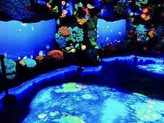National Geographic Encounter Ocean Odyssey - La profundidad del océano