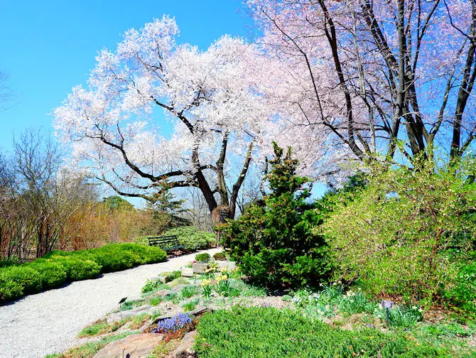 Jardines bot&aacute;nicos en Nueva York - Jard&iacute;n bot&aacute;nico en el Bronx