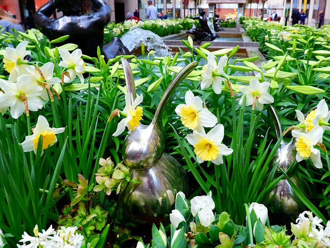Pascua en Nueva York Nueva York