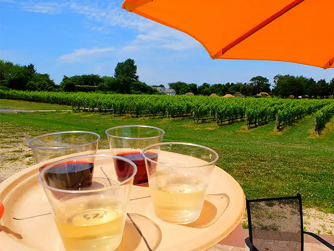 Excursión a viñedos con cata de vinos desde Nueva York - Cata de vinos