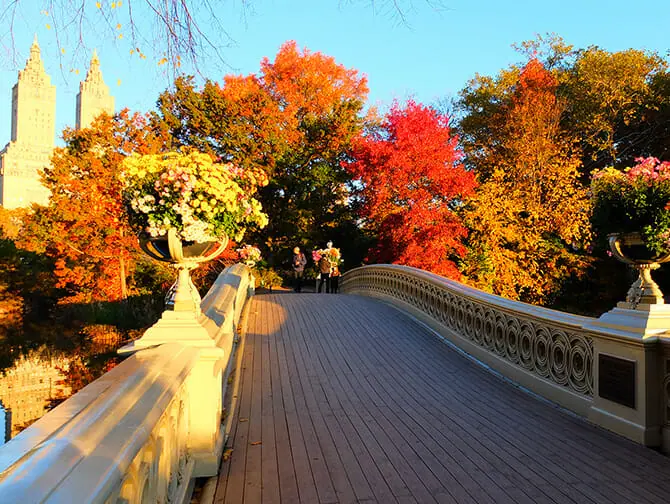 Rutas a pie por Nueva York - Central Park Paisaje