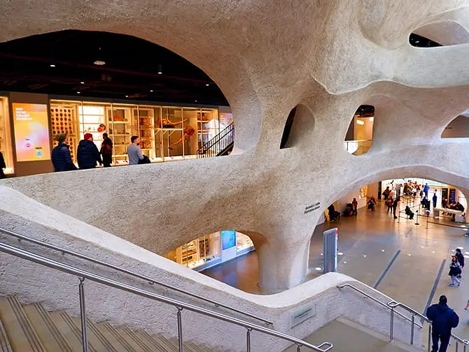 The American Museum of Natural History en Nueva York - Extensión