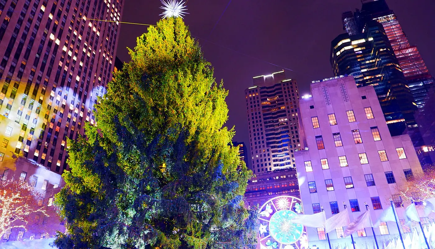 ¡El árbol de Navidad del Rockefeller ha llegado a Nueva York!