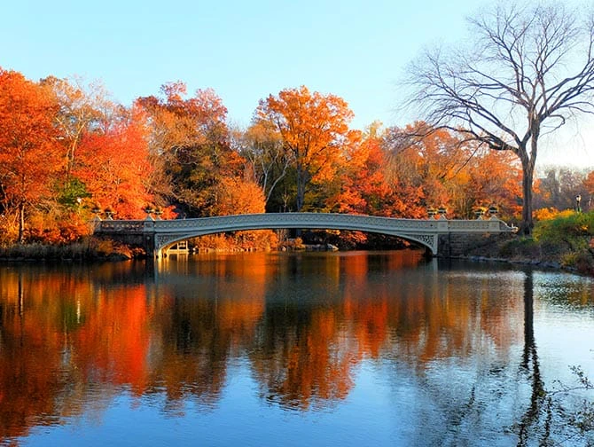 Tours en bicicleta por Nueva York - Bow Bridge