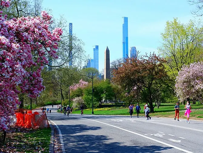 Tarjetas turísticas en Nueva York - Bicicleta