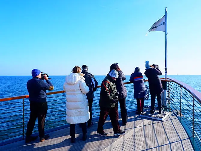 Crucero de avistamiento de focas y aves en Nueva York