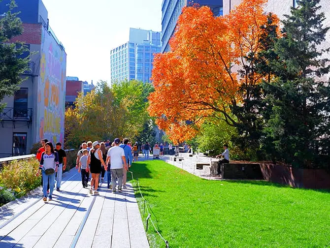 La High Line en Nueva York - Naturaleza