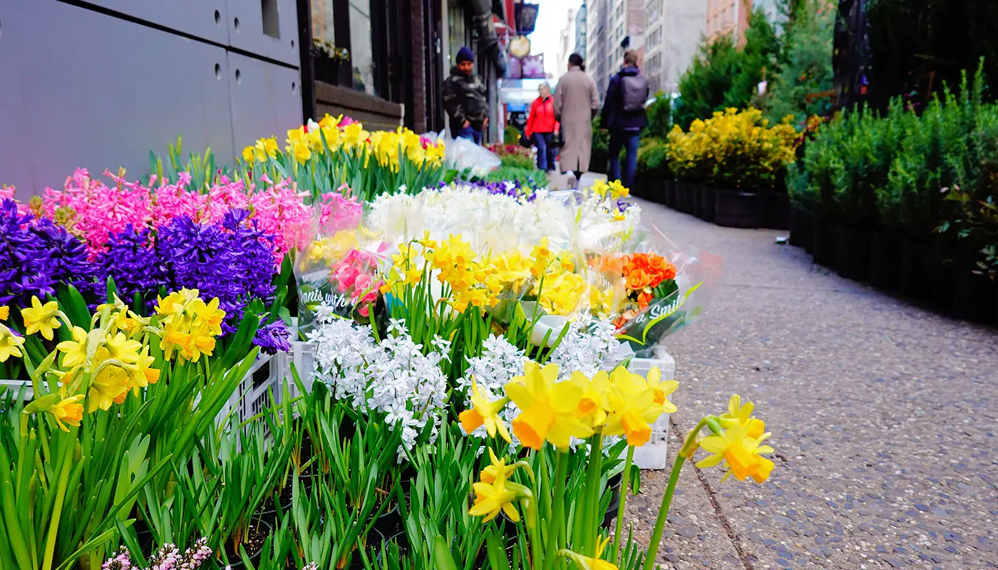 Hoteles en Midtown Manhattan - Cambria Hotel New York Chelsea